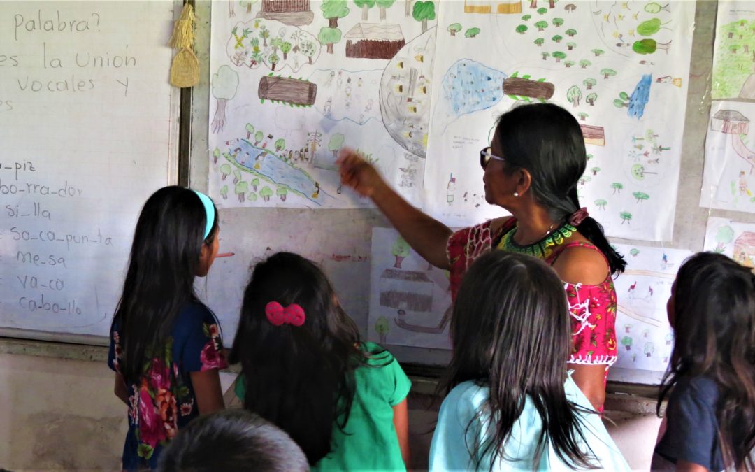 REIBA CONVOCA A VOLUNTARIOS PARA APOYAR LA EDUCACIÓN EN LA AMAZONÍA