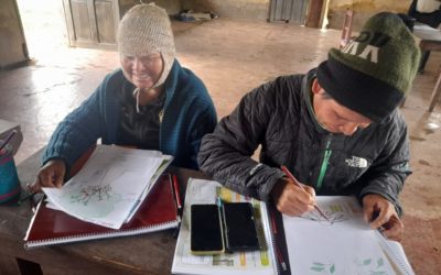 ¡Potenciando la Educación Bilingüe! Taller sobre Metodología de Cartillas Tsimane-Castellano