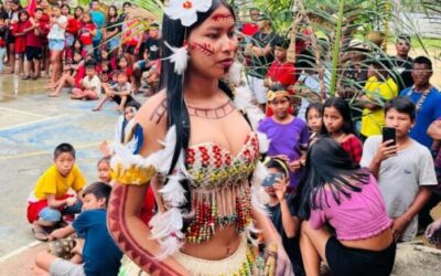 NotiREIBA – maio (portugués)