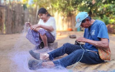 NotiREIBA – Julio 2025