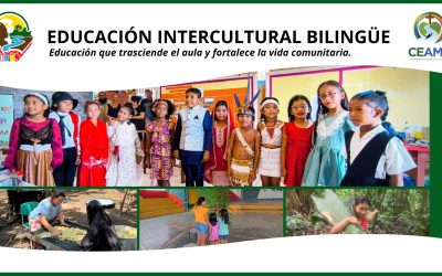 REIBA: educación que trasciende el aula y fortalece la vida comunitaria.