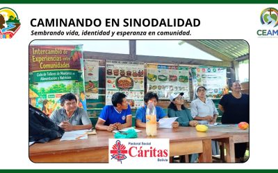 Caminando en sinodalidad: Proyecto articulado entre Cáritas San Borja y la REIBA Local San Borja.