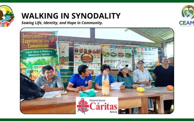 WALKING IN SINODALITY: Project in collaboration with Caritas San Borja and the local REIBA San Borja team